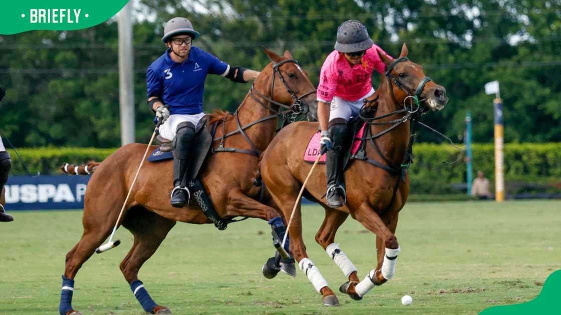 High-class sports High-class sports