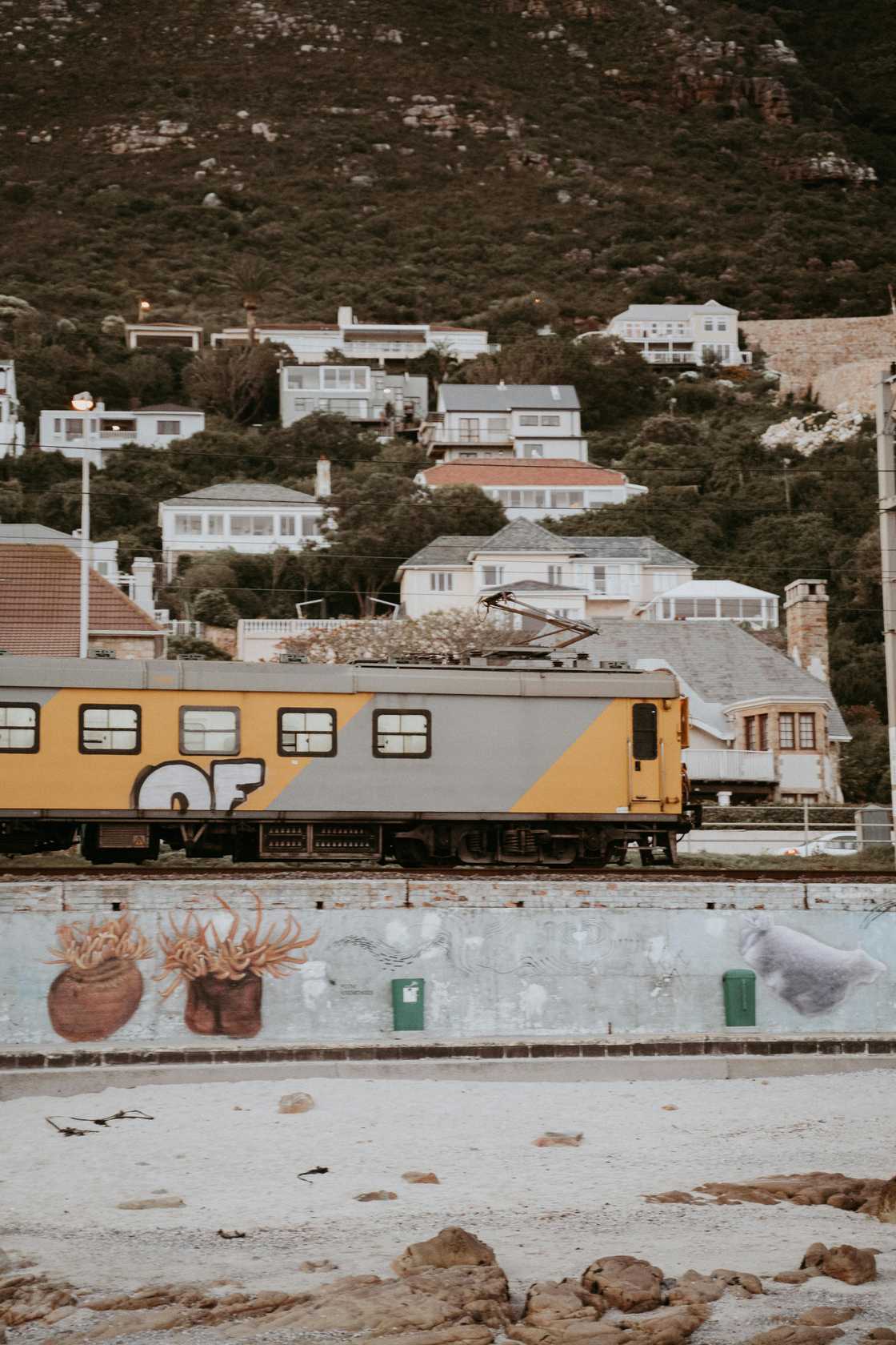 American in one of many foreigners who settled in Cape Town