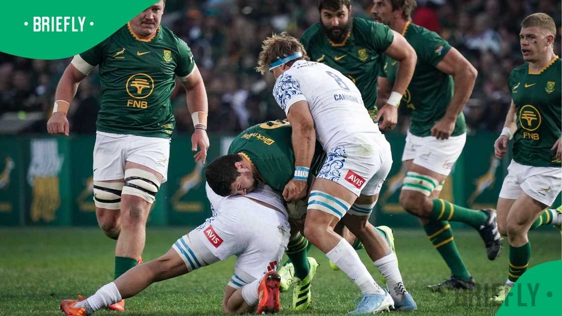 Springboks, All Blacks, Rugby Championships Springboks, All Blacks, Rugby Championships