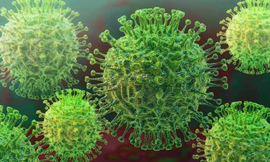 Covid-19 virus Covid-19 virus