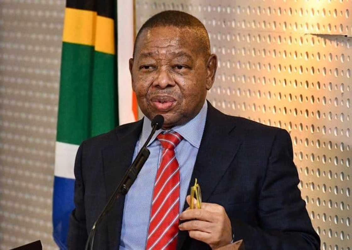 Blade Nzimade biography Blade Nzimade biography