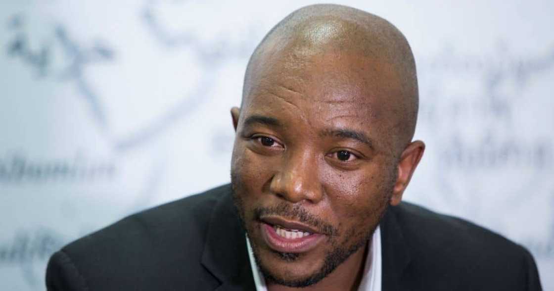 Mmusi Maimane, Natasha Thahane, Baleka Mbete, Nathi Mthethwa, corruption, tuition fees, Desmond Tutu Mmusi Maimane, Natasha Thahane, Baleka Mbete, Nathi Mthethwa, corruption, tuition fees, Desmond Tutu