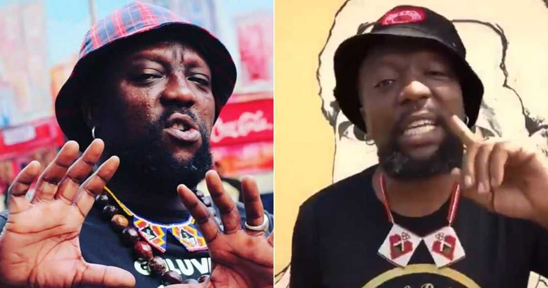 Zola 7, dead, hoax