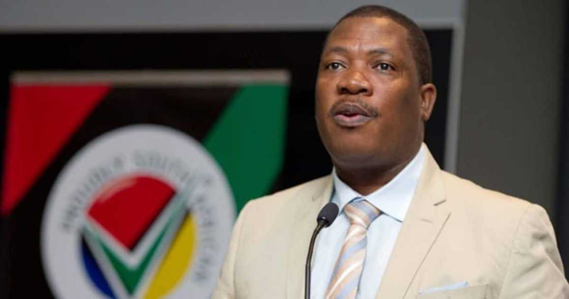 Panyaza Lesufi denies tender irregularities, says forces out to get him Panyaza Lesufi denies tender irregularities, says forces out to get him