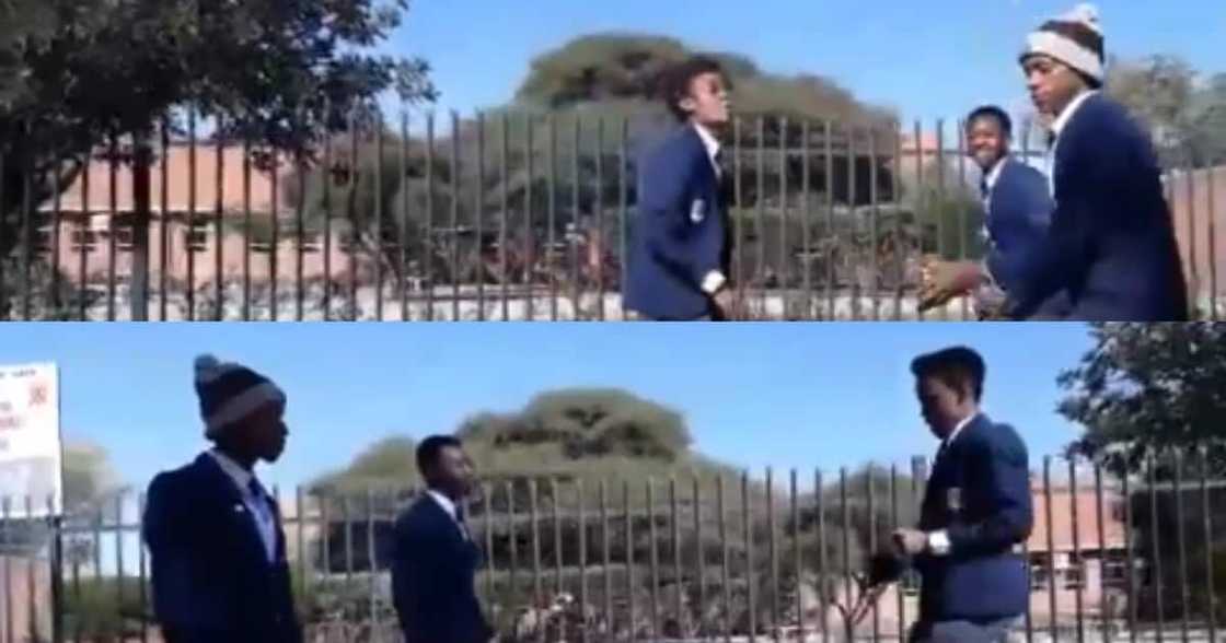 "I'd Love to See More": Teens Give SA Lit Vibes with Viral Dance Clip "I'd Love to See More": Teens Give SA Lit Vibes with Viral Dance Clip