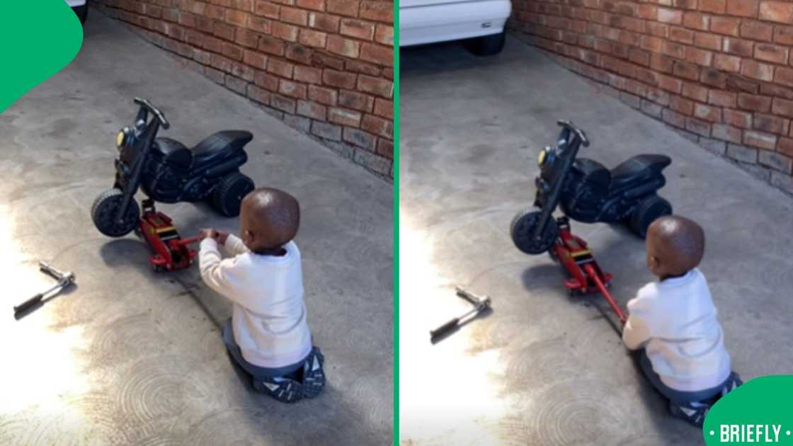 A playful child mimicked car maintenance, demonstrating observational learning in action