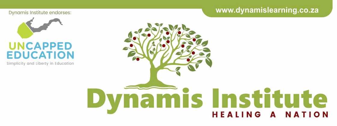 Dynamis Institute website Dynamis Institute website