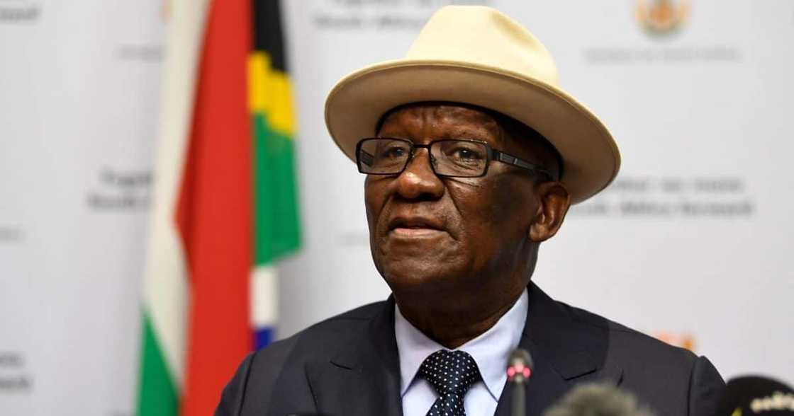Bheki Cele, Police Minister, Gqeberha, violence, police quell Bheki Cele, Police Minister, Gqeberha, violence, police quell