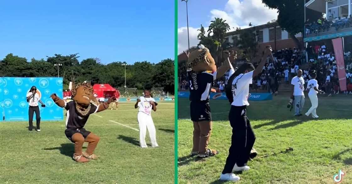 The UKZN mascot performance at the stadium went TikTok viral