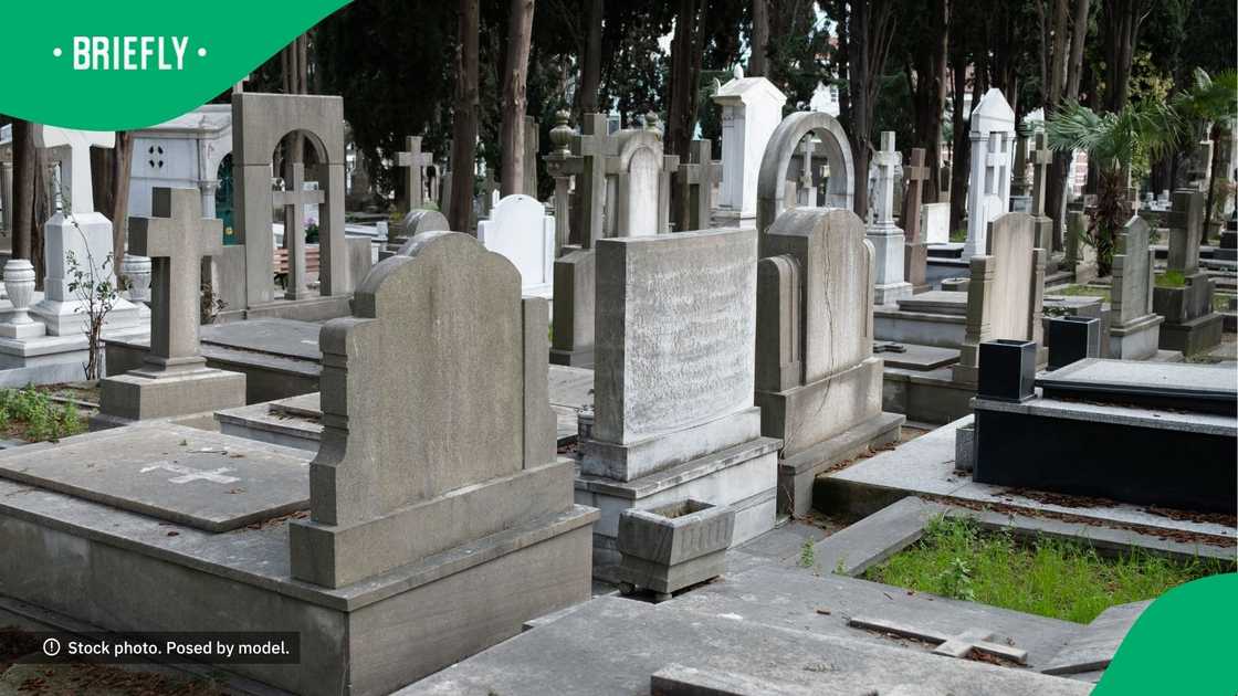 A bizarre yet hilarious Instagram video depicted a man energetically dancing to amapiano music alone in the middle of a graveyard