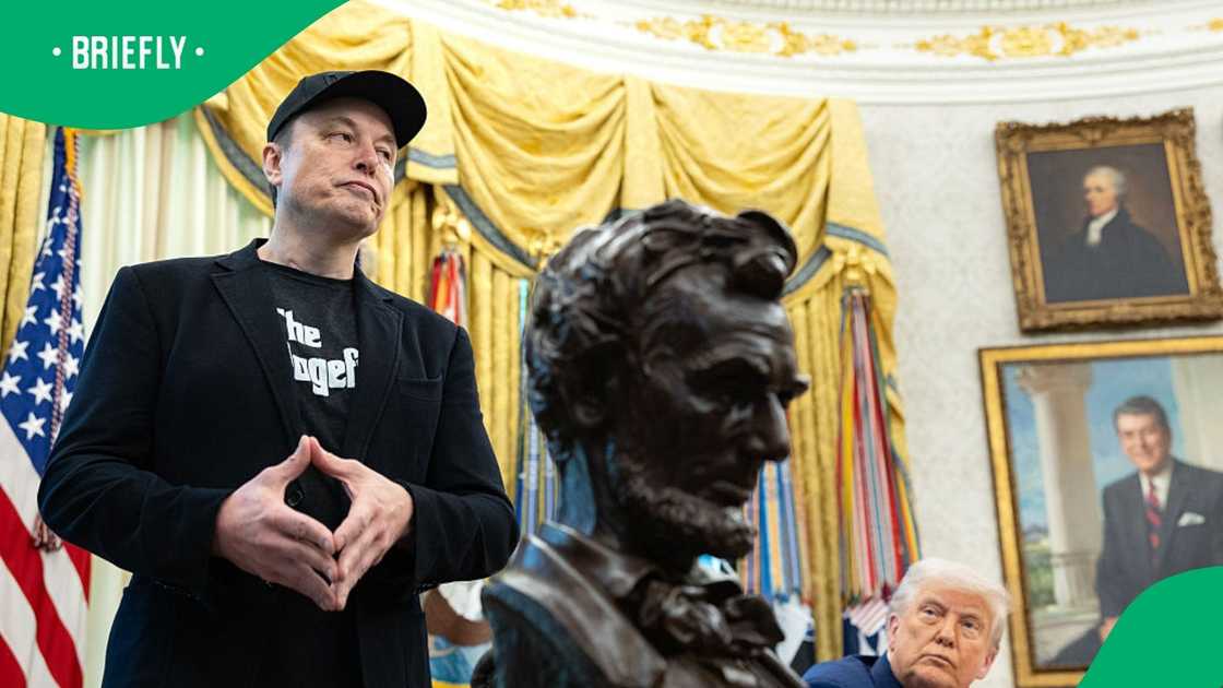 Elon Musk denied that he used drugs Elon Musk denied that he used drugs