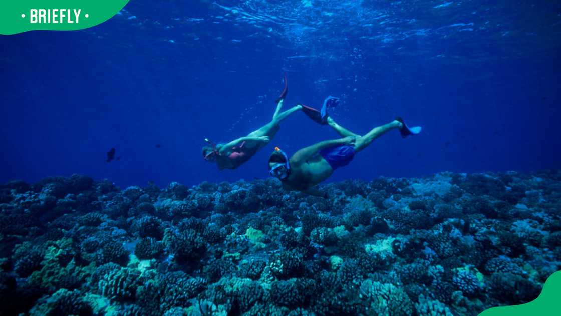 Snorkelling underwater