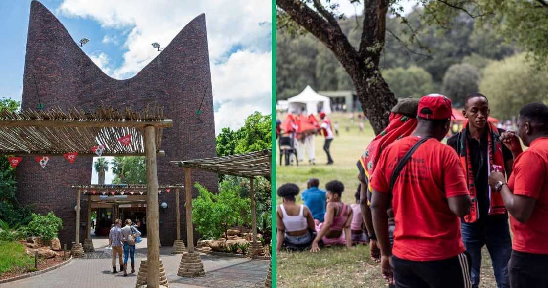 Pretoria zoo trend on X for bad conditions Pretoria zoo trend on X for bad conditions