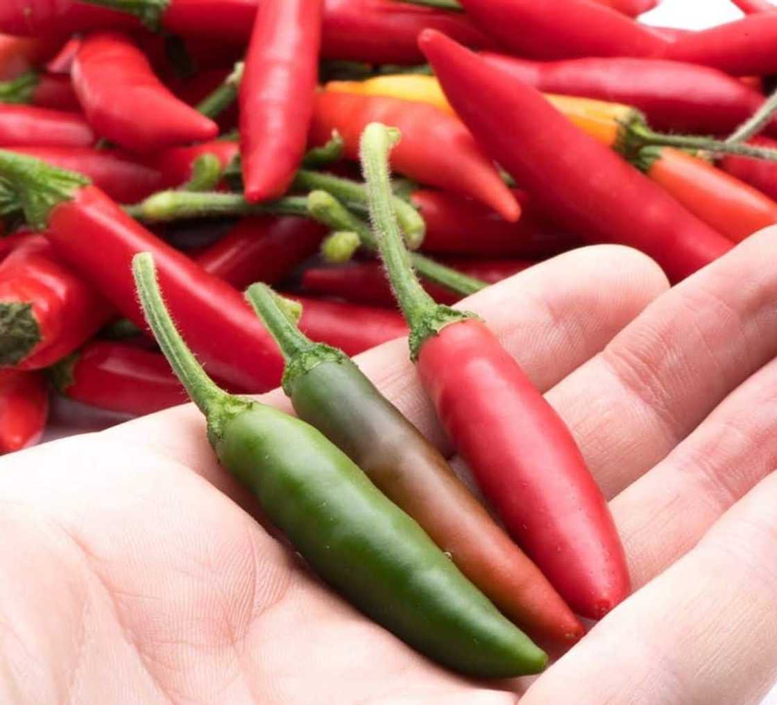 Chillies