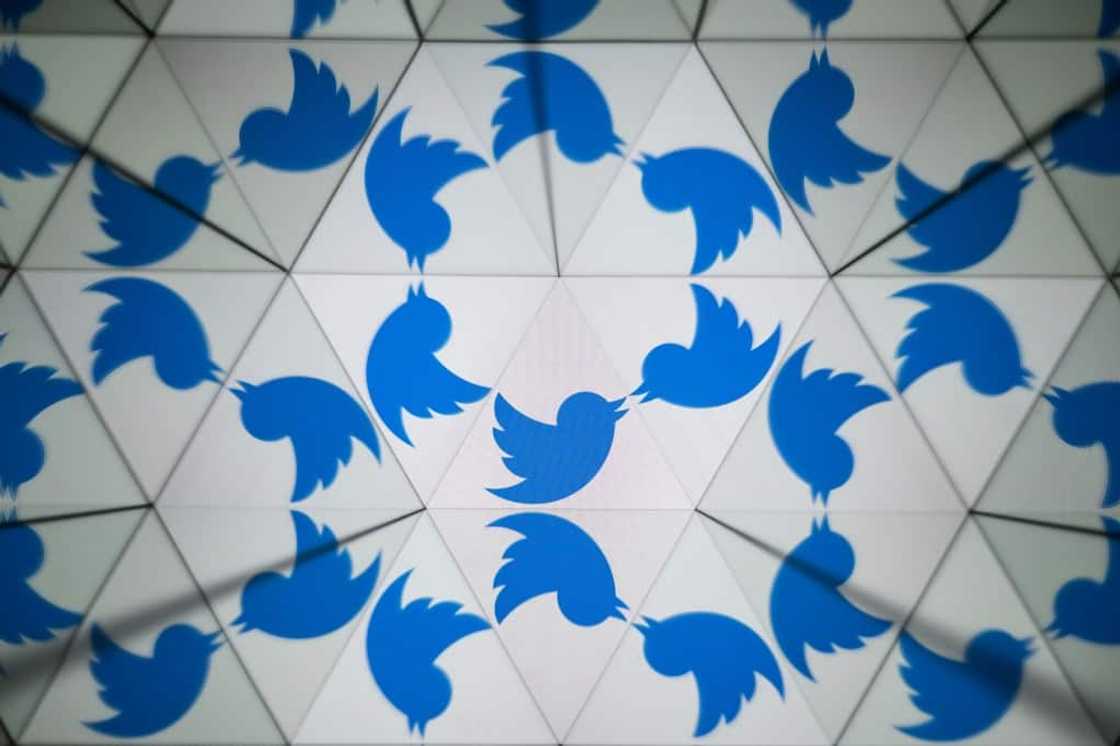 Twitter, whose name is a play on the sound of birds chattering, has used the avian branding since early in its 2006 launch Twitter, whose name is a play on the sound of birds chattering, has used the avian branding since early in its 2006 launch