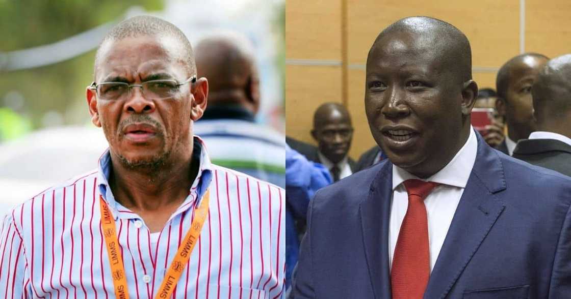 EFF: Magashule matter may come in handy for party, Julius Malema EFF: Magashule matter may come in handy for party, Julius Malema