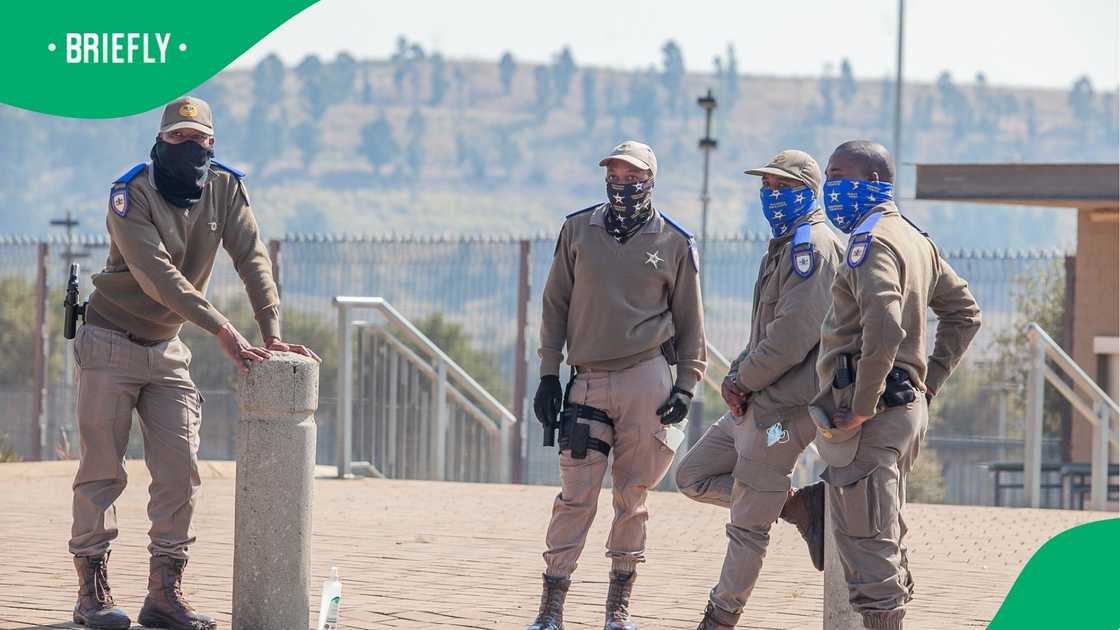 Gauteng traffic police members Gauteng traffic police members