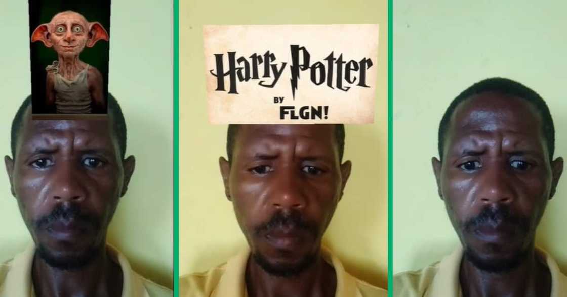 This TikTok video features a South African man using a Harry Potter filter to find his character's look-alike This TikTok video features a South African man using a Harry Potter filter to find his character's look-alike