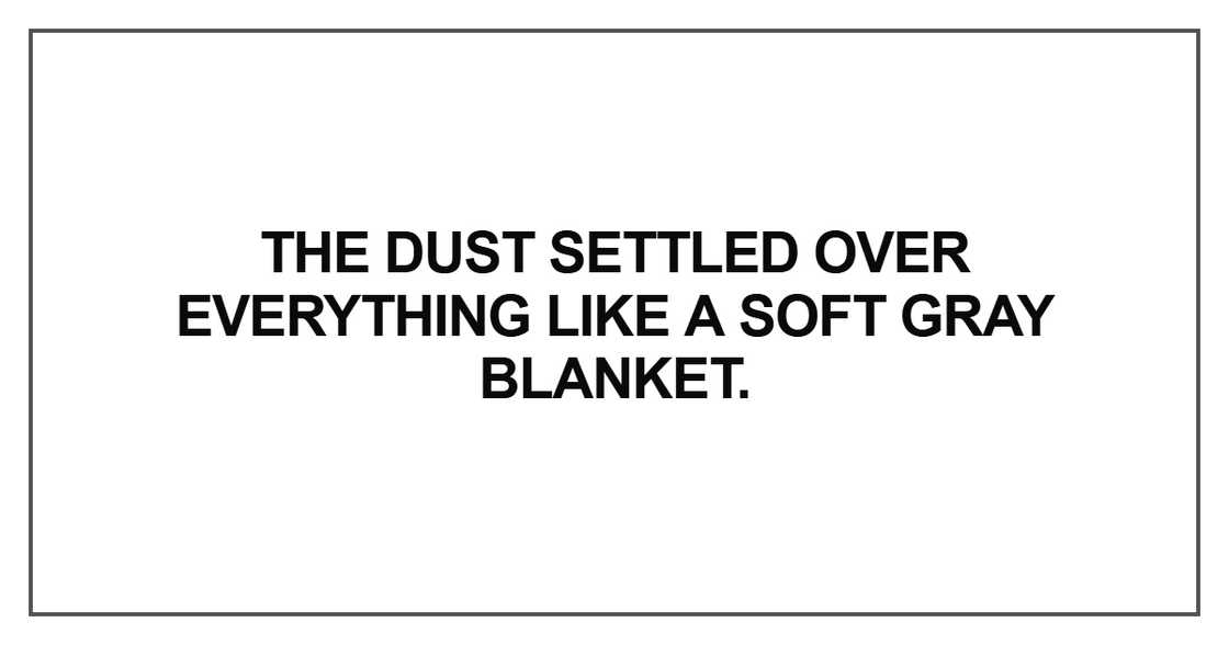 The dust The dust