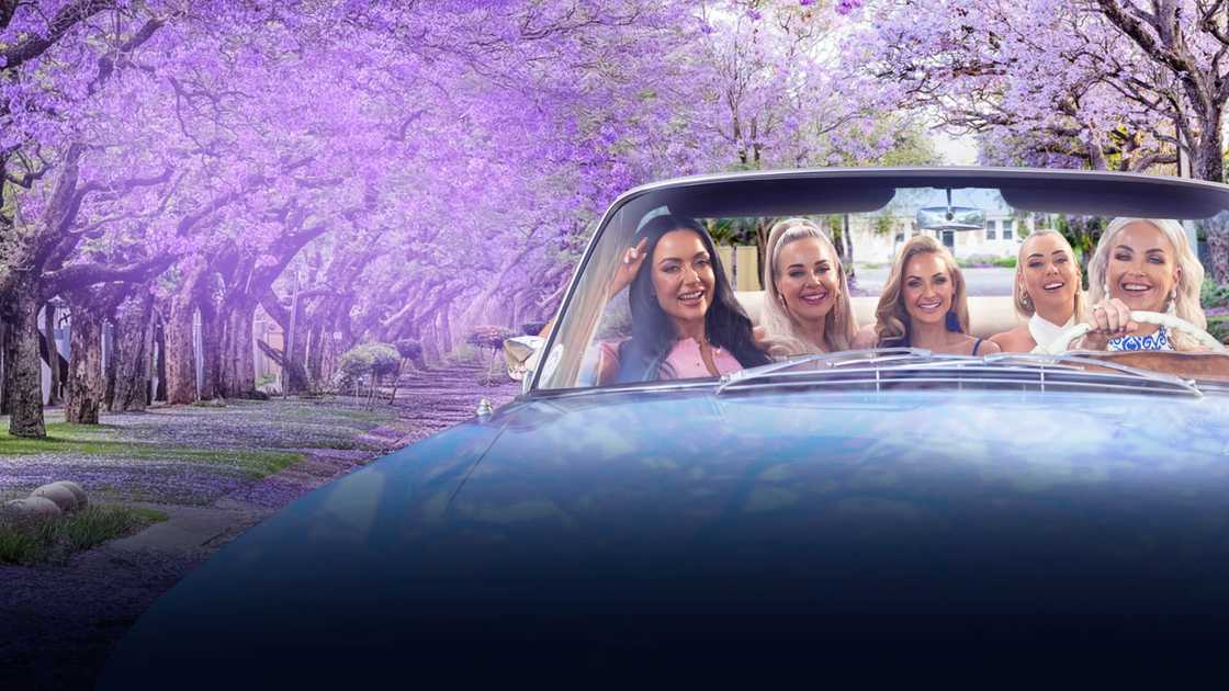 'The Mommy Club' introduced a new spinoff 'The Mommy Club' introduced a new spinoff