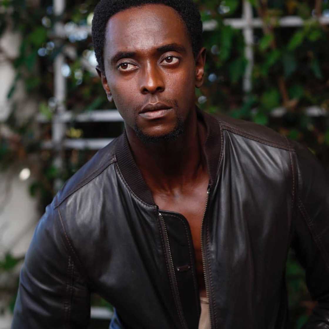 African actors in Hollywood African actors in Hollywood