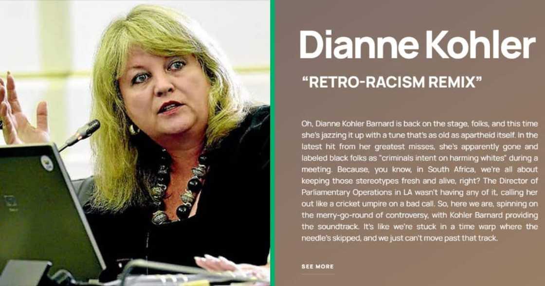 The Democratic Alliance and Dianne Kohler Barnard downfall The Democratic Alliance and Dianne Kohler Barnard downfall
