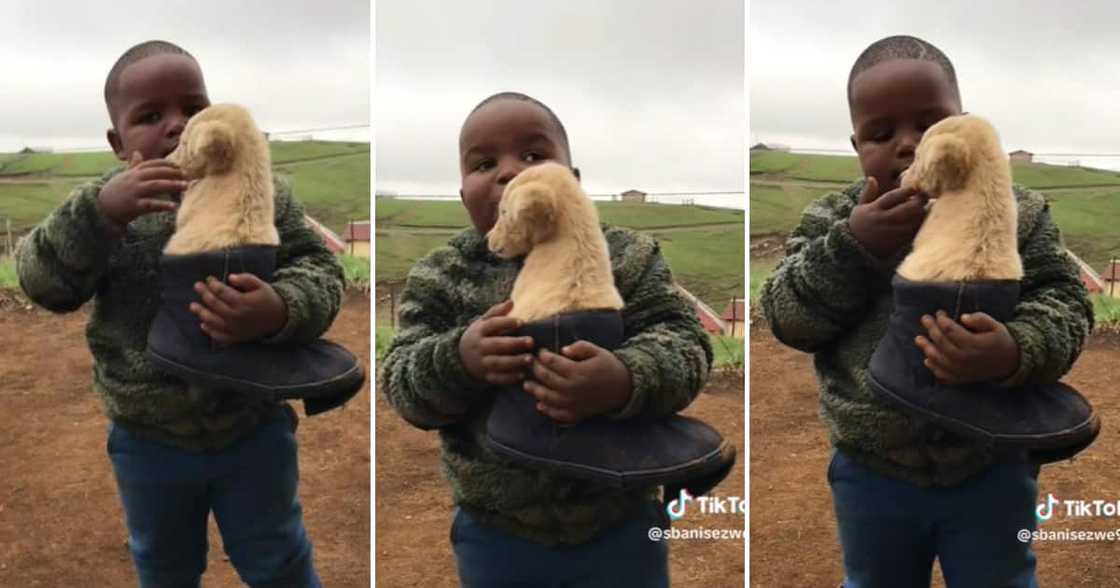 TikTok user @sbanisezwe91 shared the clip, showing the boy holding his puppy in the shoe, showing it unconditional love.