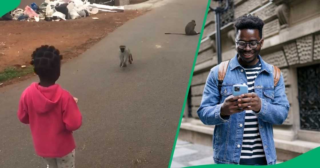 A young girl had the most hilarious encounter with monkeys, leaving the internet in laughter. A young girl had the most hilarious encounter with monkeys, leaving the internet in laughter.
