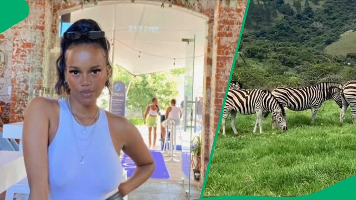 KZN woman enjoys South Africa with R200 Durban game drive in TikTok video