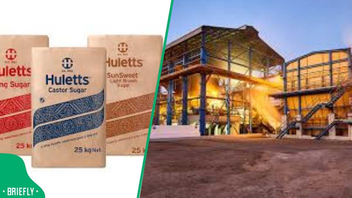 SA farmers fight to save Tongaat Hulett from shutdown