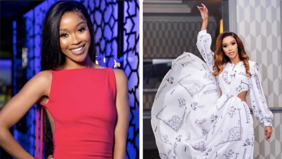 Alice Ncube Andile Ncube's wife, Sebabatso Mothibi's biography and personal life ...