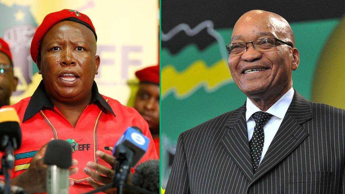 Dynamic 'residents Are Prisoners In Their Homes': Ec Premier To Ask Ramaphosa For Military Intervention View Concept Dynamic 'residents Are Prisoners In Their Homes': Ec Premier To Ask Ramaphosa For Military Intervention View Concept