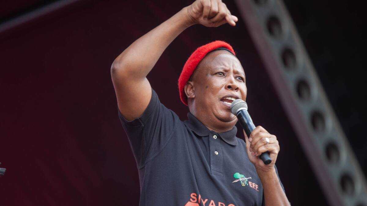 EFF Leader Julius Malema Has Always Advocated For Parliament to Be ...