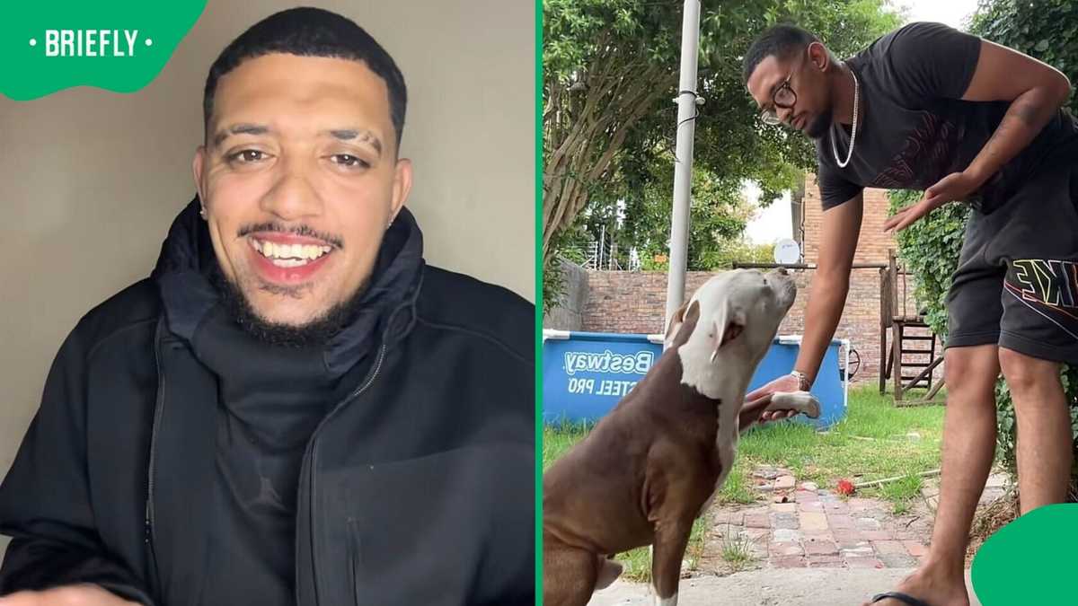 "Not all pitbulls are the same": Cape Town man advocates for pitbulls amid fatal attack