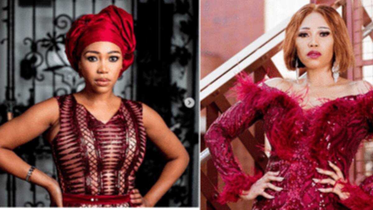 Sonia Mbele Addresses Rumours of Dating Late Menzi Ngubane: โBoundaries Should Not Be Crossedโ - Briefly.co.za