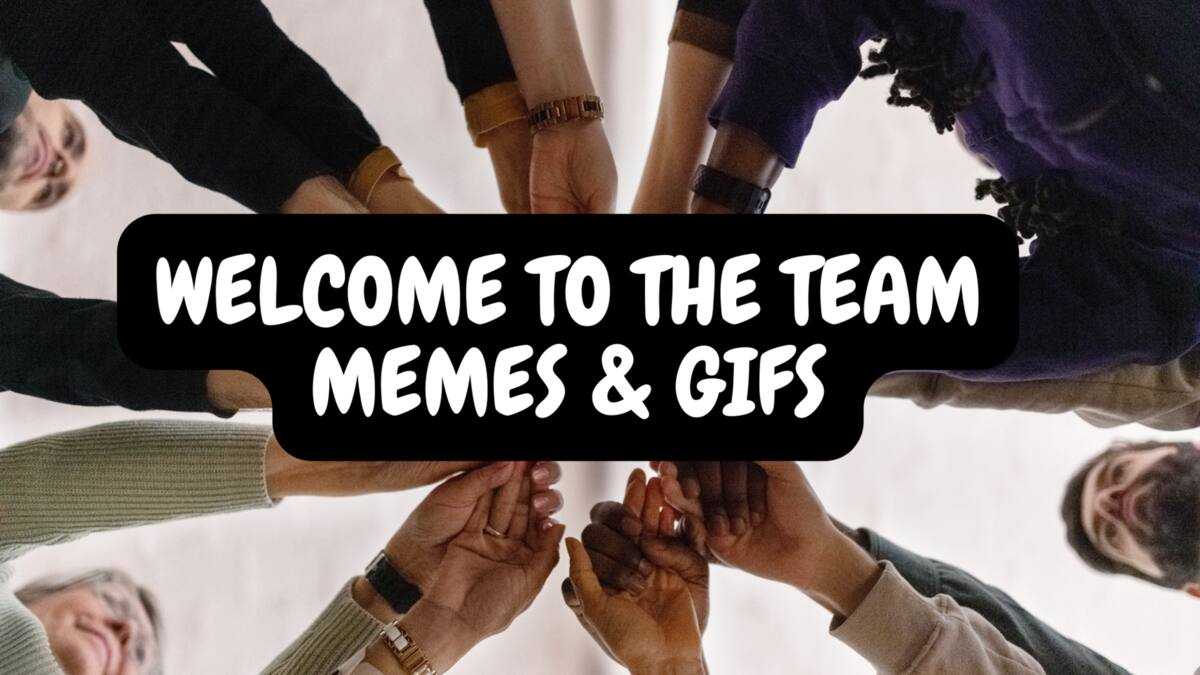 30 best welcome to the team memes and GIFs for new team members -  Briefly.co.za