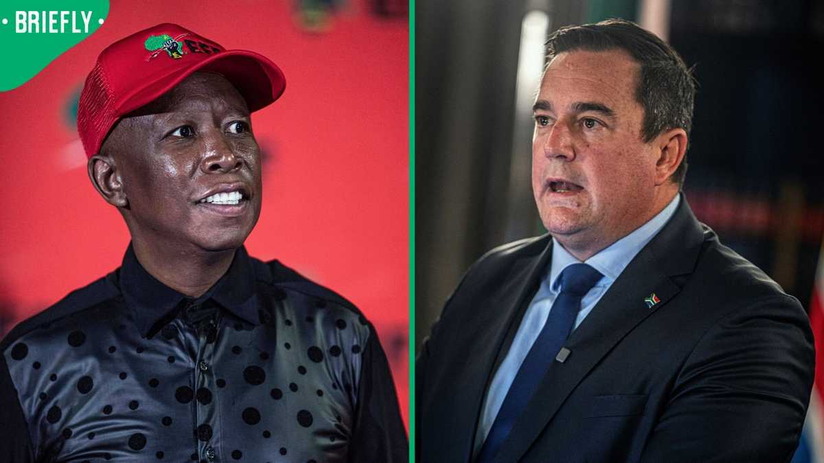 Julius Malema declines to comment on John Steenhuisen's leadership exit plans, South Africans debate