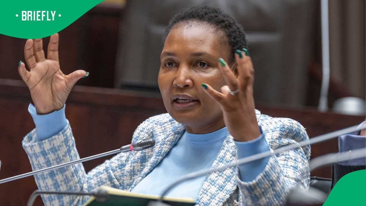 DA MPs and Human Settlements Minister trade words during heated budget vote, South Africans divided