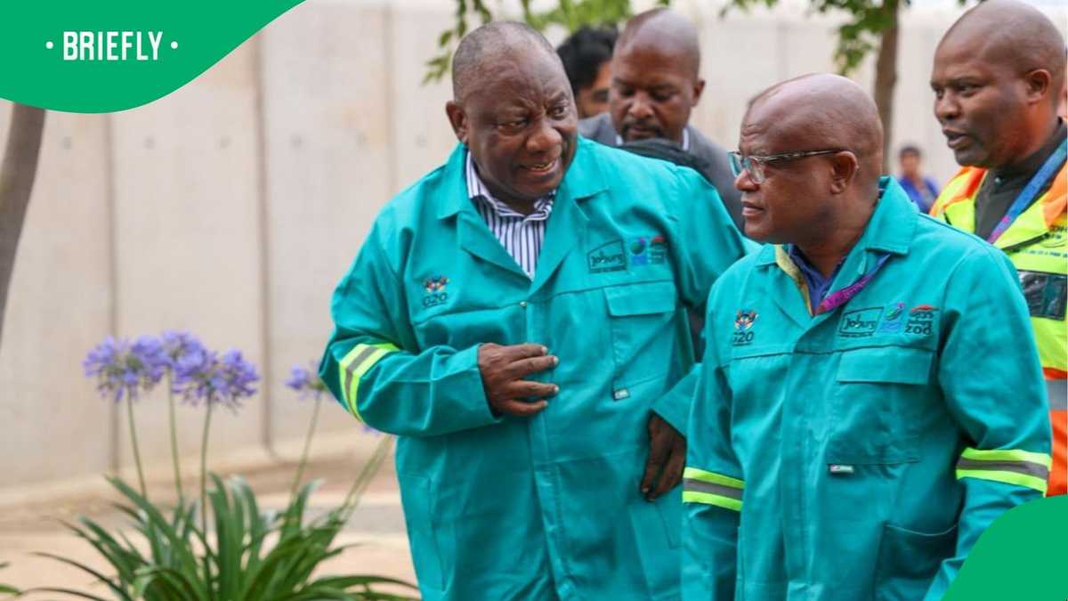 South Africans React to A Clean Johannesburg after G20 Revamp