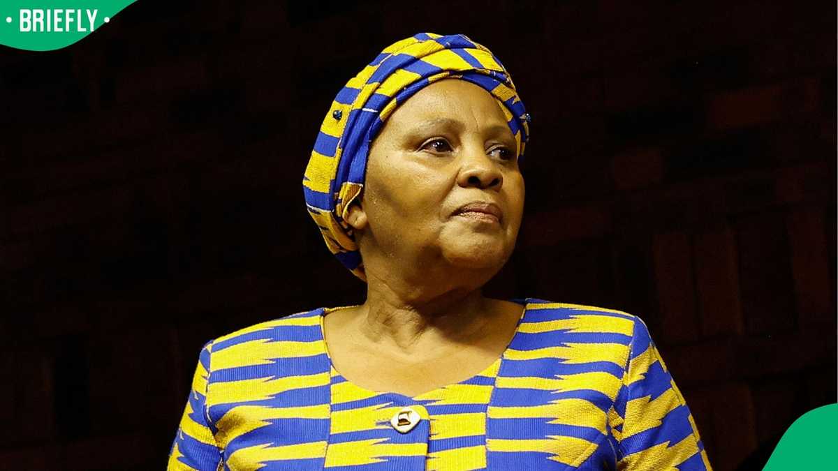 Photo: briefly.co.za Nosiviwe Mapisa-Nqakula Charges