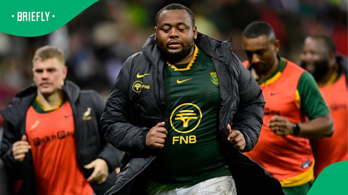 Springboks Prop Faces Possible Four-Year Ban After Testing Positive for ...