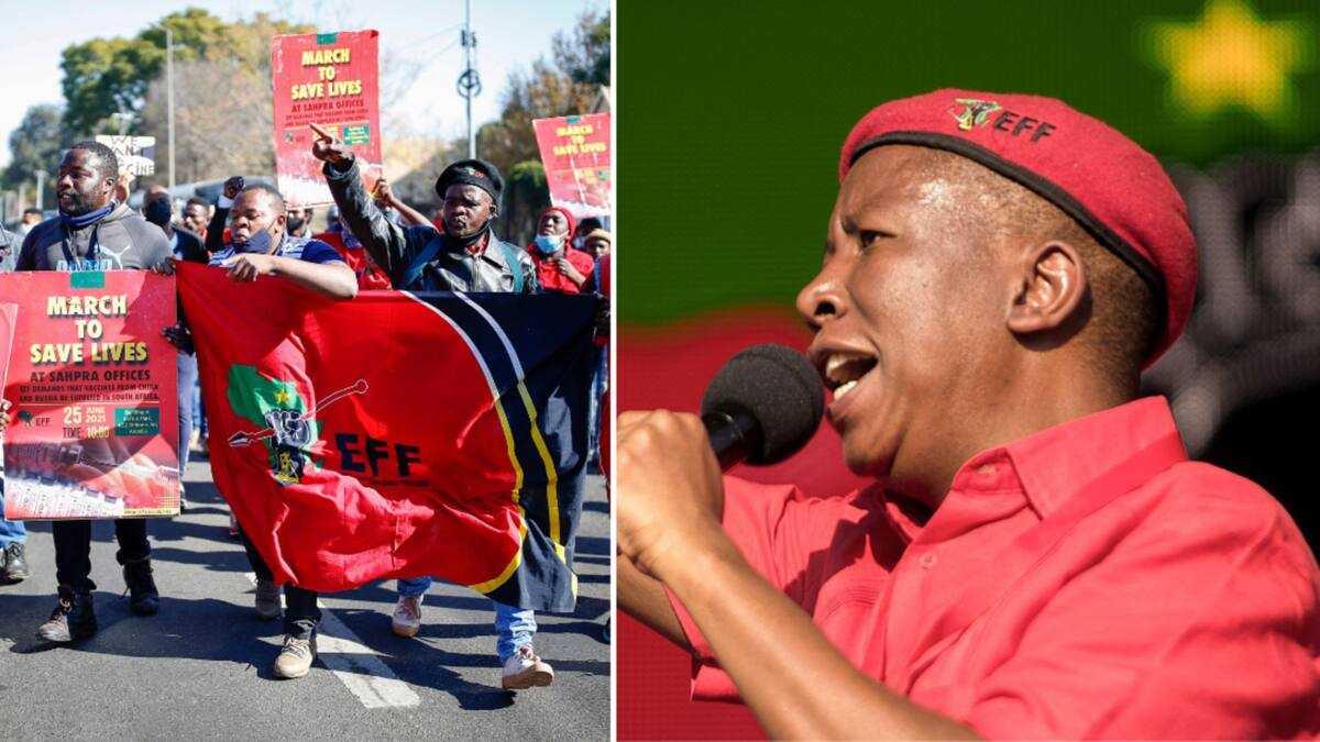 EFF Turns 9: 5 Most Memorable Times the EFF Protested for Change in ...