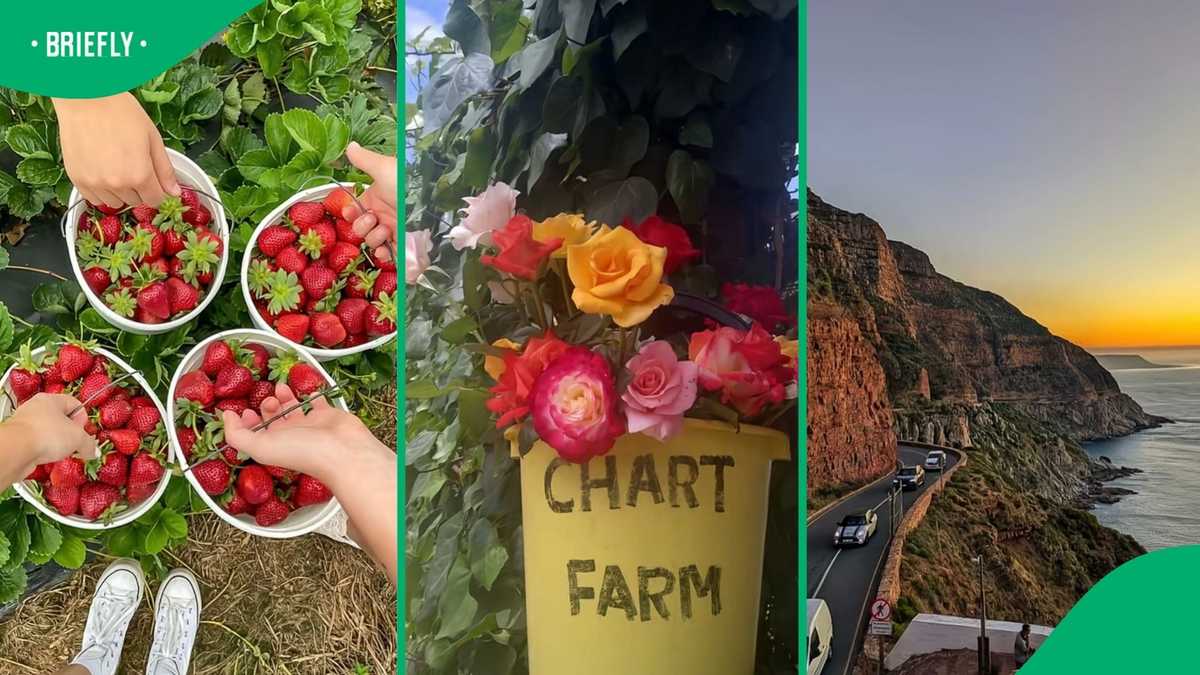 8 affordable things to do in Cape Town: woman shares prices and locations for budget-friendly fun