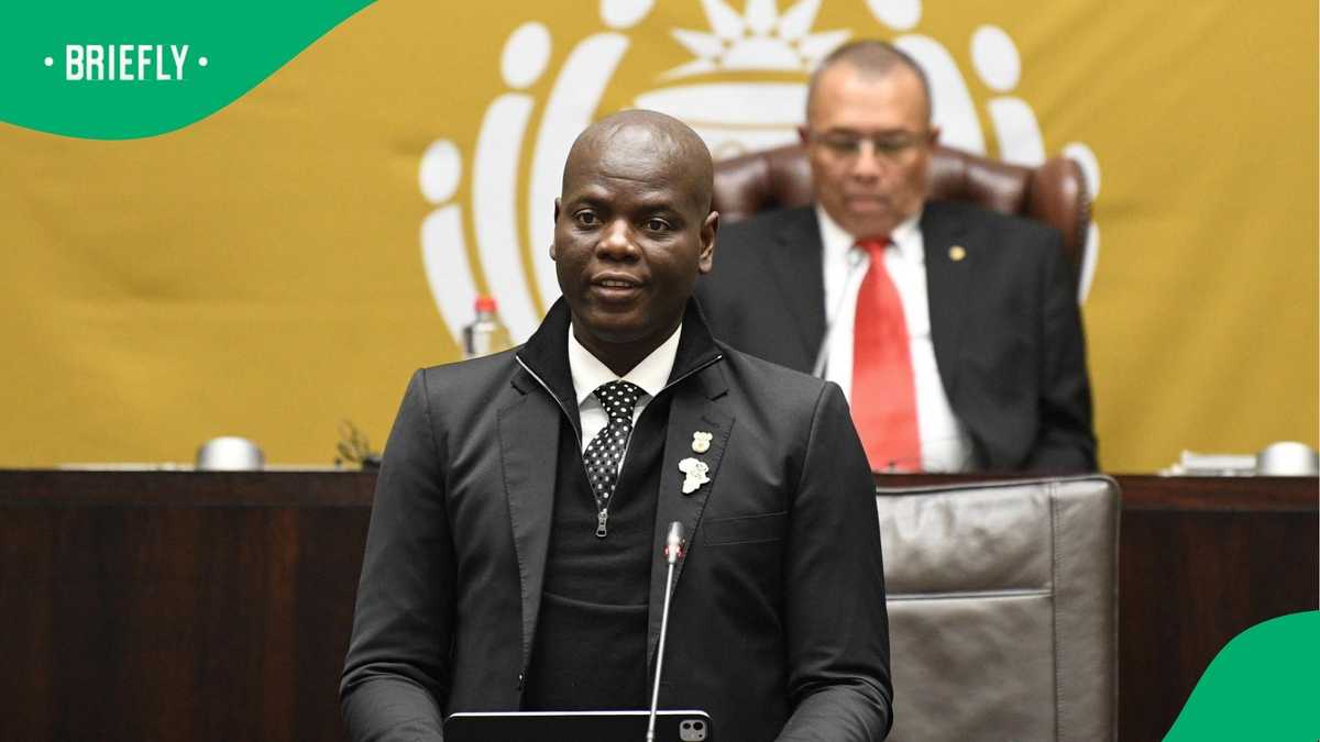 Lamola raises alarm over unauthorised Palestinian entry into South Africa