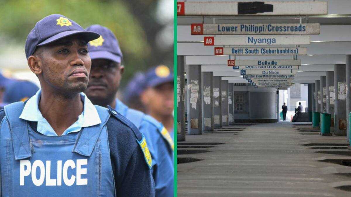 Cape Town SAPS Seize Fake Clothes Worth Over R100 Million at Belville ...