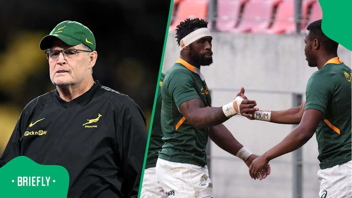 Springboks Key Ring Springboks Suffer Setback as Key Player Undergoes Surgery, Misses ...