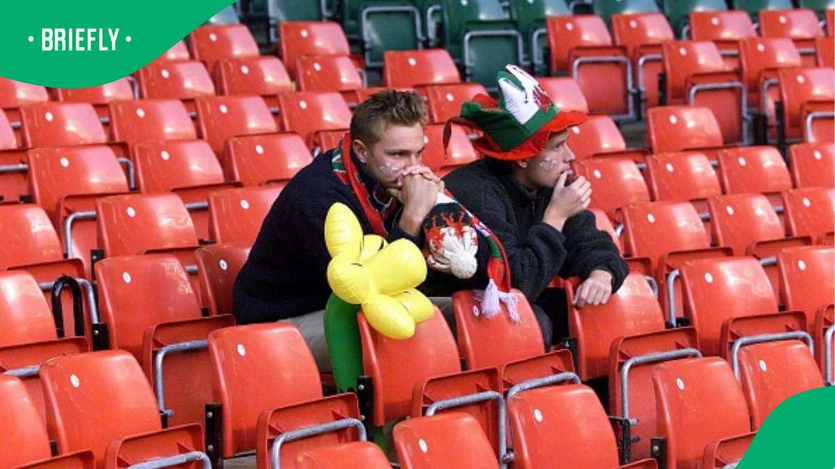 Welsh Rugby Coach Tim Poole Dies Suddenly, Tributes Pour In After ...