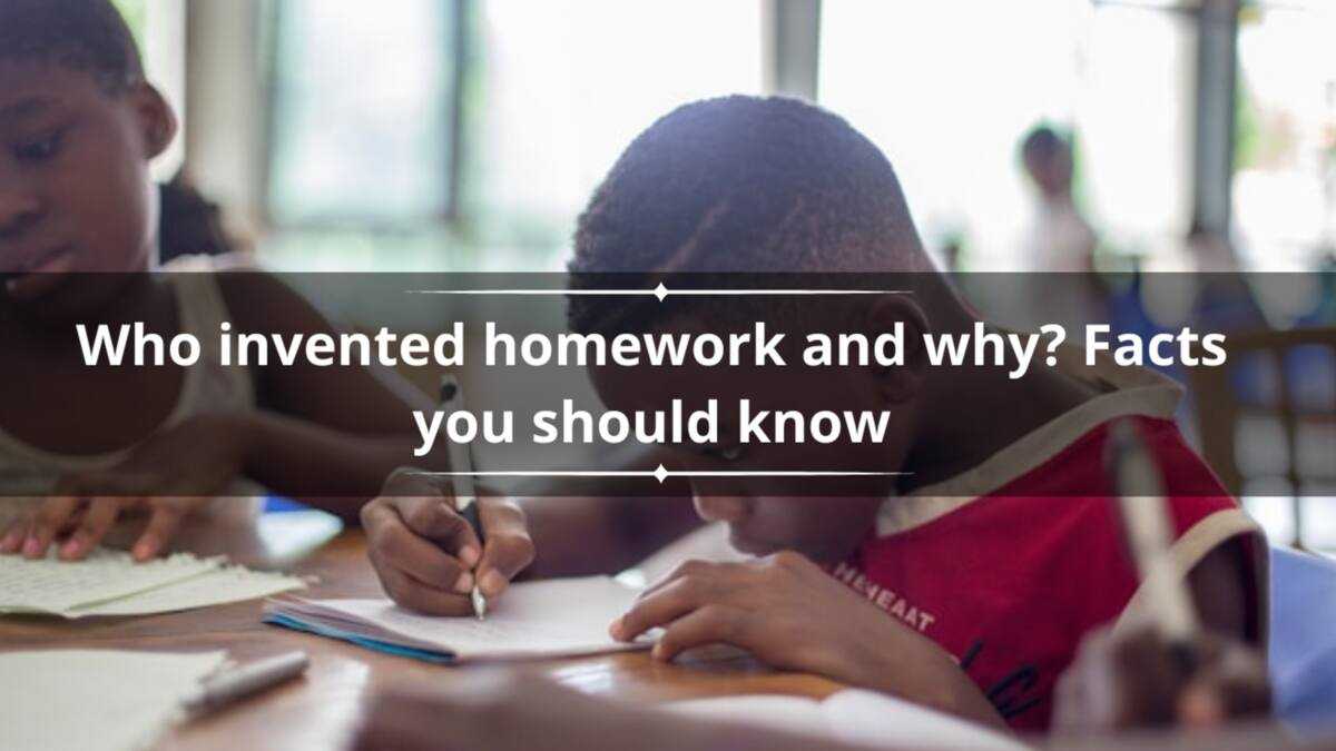 Who invented homework and why? Facts you should know - Briefly.co.za