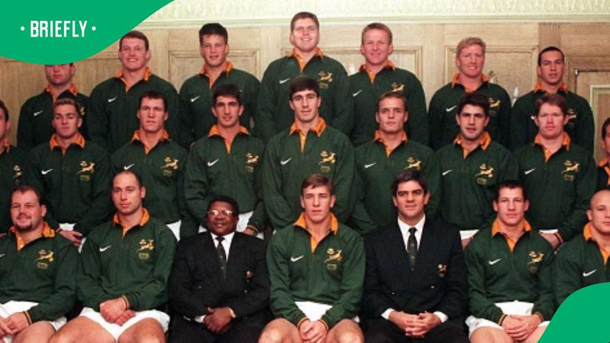 Former Springboks Scrumhalf Dan Van Zyl Lands New Coaching Role In ...