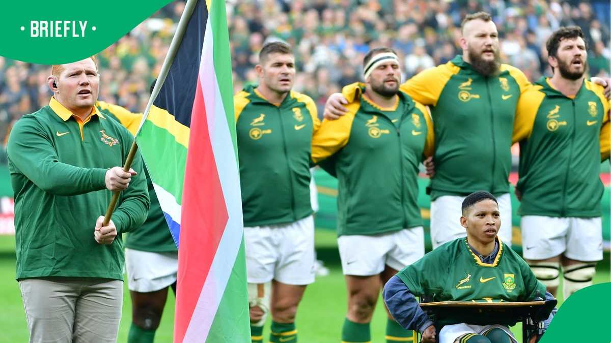 Springboks careers in crisis: When injuries and health force early retirement